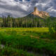 Owl Creek Pass Meadow