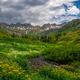 Alpine Flower Basin