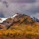 There is gold in them hills