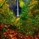 Autumn Falls Vertical