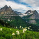 Glacier Mountains Bear Grass