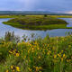 Harriman Spring -Pano