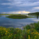 Spring At The Ranch