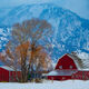 Red Barn in Jackson Hole 