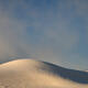 Desert Majesty