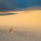 Sands Of Time