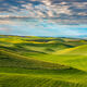 Going Green