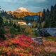 Autumn Rainbow Colors on Rainier 