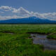 Salmon River Head Waters