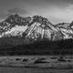 Sawtooth Showers