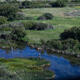 Spring Creek Silver