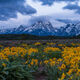 Spring Storm over the Tetons