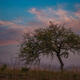 Evening Clouds
