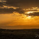 Lone Stallion at sunrise