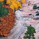 Veins of the Plateau
