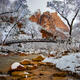 The Winter Glow