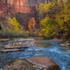 Autumn’s Flowing Sanctuary