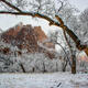 Zion's Winter Silence