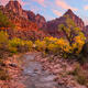 Watchman's Golden Descent