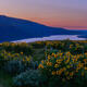 Rowena Crest Panorama