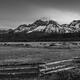 Sawtooth Black and White