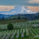 Mt Adams Hoodie