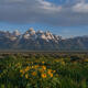 Teton Summer Panorama 