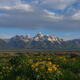 Teton Summer Morning