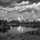 Oxbow Spring Black and White