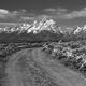 Teton Road Black & White 