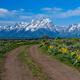 Teton Backroad