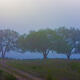 Morning in the Hills