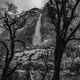 Yosemite Winter Falls Photograph in Black and White