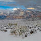 Nevada Photography Print