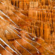 Red Zebra Bryce Canyon