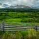 Summer at the Mount Adams Ranch