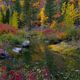 River Pond