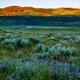 Sage Basin