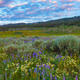 Idaho Sping Hills