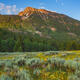 Stanley Peak Spring