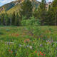 Spring Fresh Idaho