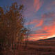 Basin Morning Glow