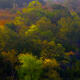 Spring Morning in the Hills
