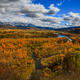 Snake River Autumn Channels