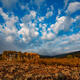 Basin Sky 2