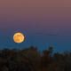 Moonrise over Bosque
