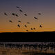 The Finite Flight