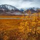 Arctic Autumn View