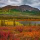 Alaskan Tundra Changing Seasons 