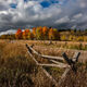 Grand Teton Photo Print 4